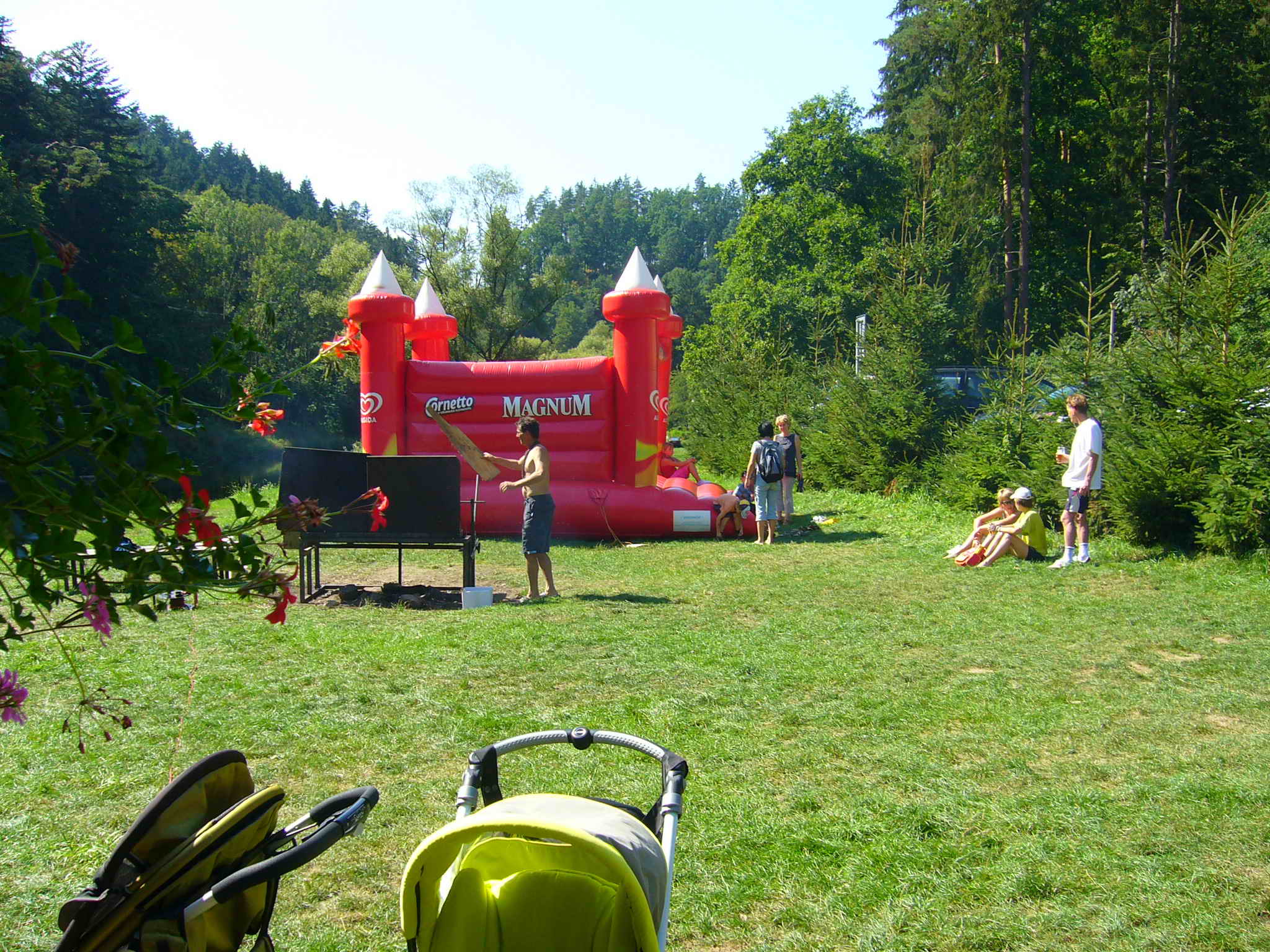P1010217.jpg